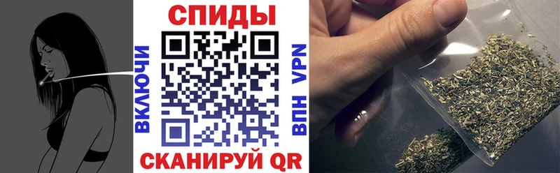 Купить  Болхов  БУТИРАТ буратино 