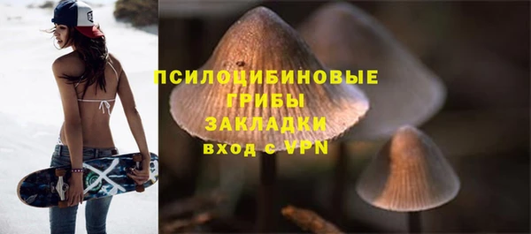 трава Аркадак