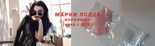 трава Аркадак