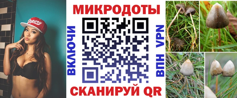 Галлюциногенные грибы мухоморы Болхов